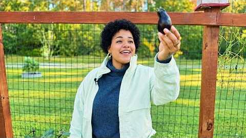 What to Plant in October: Fall Garden Seeds (Zone 8b) | Farm Chores S2 E1