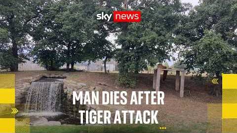 Man dies after attack by tiger at UK wildlife park