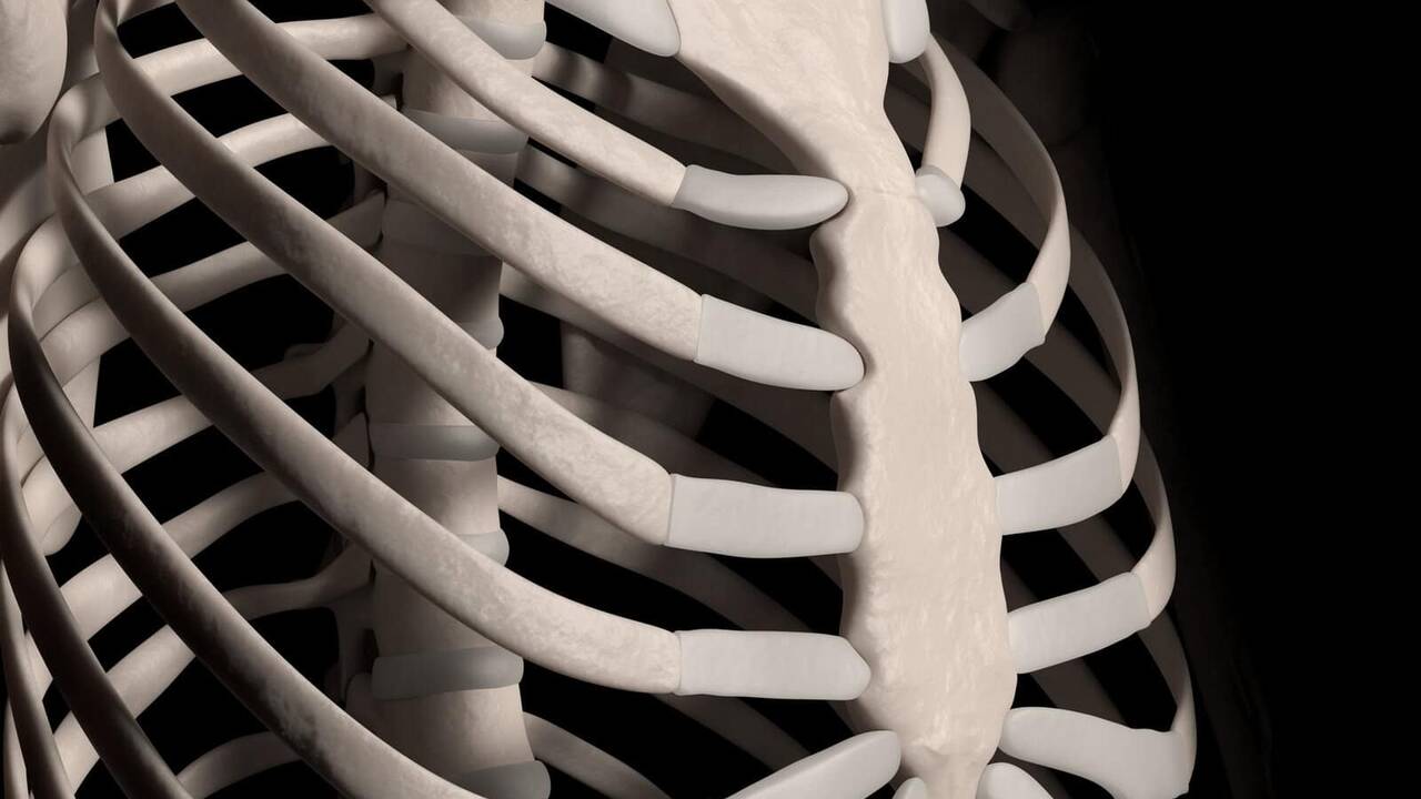 Skeleton which could be of musketeer d&rsquo;Artagnan found in Netherlands