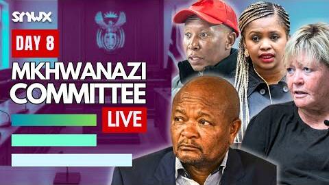 Mchunu reveals evidence in Parliament