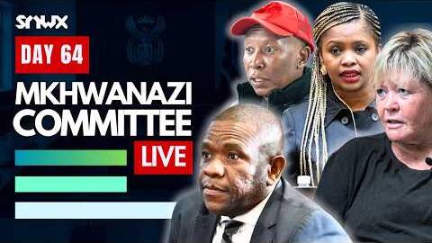 Parliament's Mkhwanazi Ad Hoc Committee meets