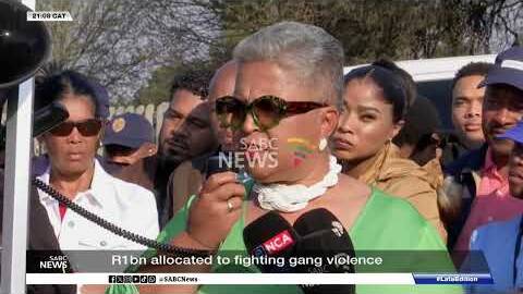 R1bn allocated to fighting gang violence