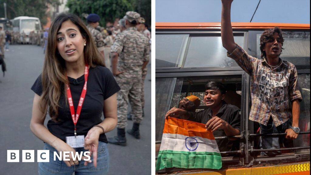 Why have hundreds of 'cockroach' protesters been detained in Delhi
