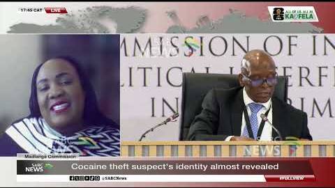 Madlanga Commission | Prof Kholofelo Rakubu unpacks Campbell Nyuswa testimony