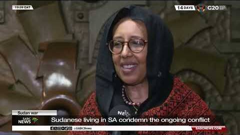 Sudan War | The flow of weapons needs to stop: Prof Amira Osman