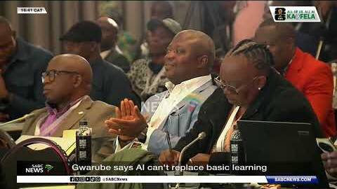 Basic Education Minister Gwarube says AI can't replace basic learning