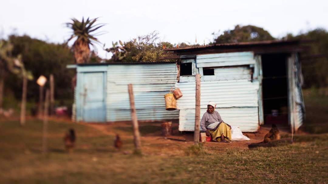Dear Mr President: To succeed, SA needs an excellent social development minister