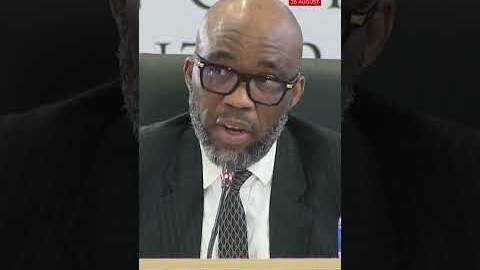 Vusimuzi 'Cat' Matlala says he thought he was robbed during the first raid.