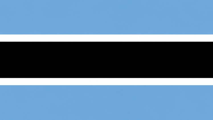 &lsquo;Heartbreaking calls&rsquo;: Botswana says citizens are being forced to fight for Russia