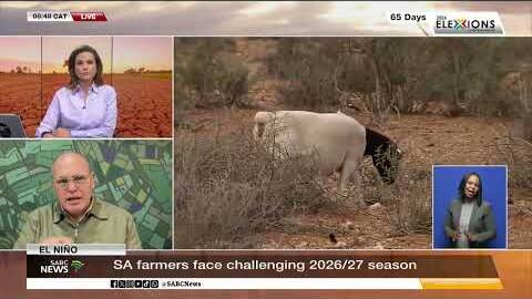 Possible extended dry El Ni&ntilde;o season a major concern for the sector: AgriSA CEO
