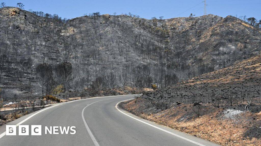 Badly burned British couple rescued from ravine during Spain wildfires