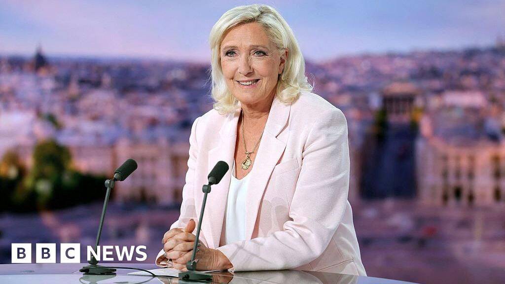 Presidency bid while continuing court fight a gamble for Le Pen