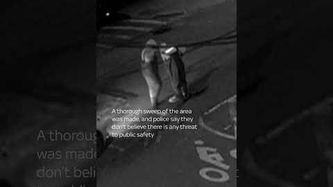 Who are these people dropping into New York's sewer system?