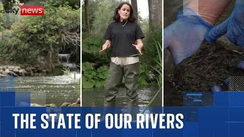 England's rivers in crisis as only 14% meet 'good' health standards