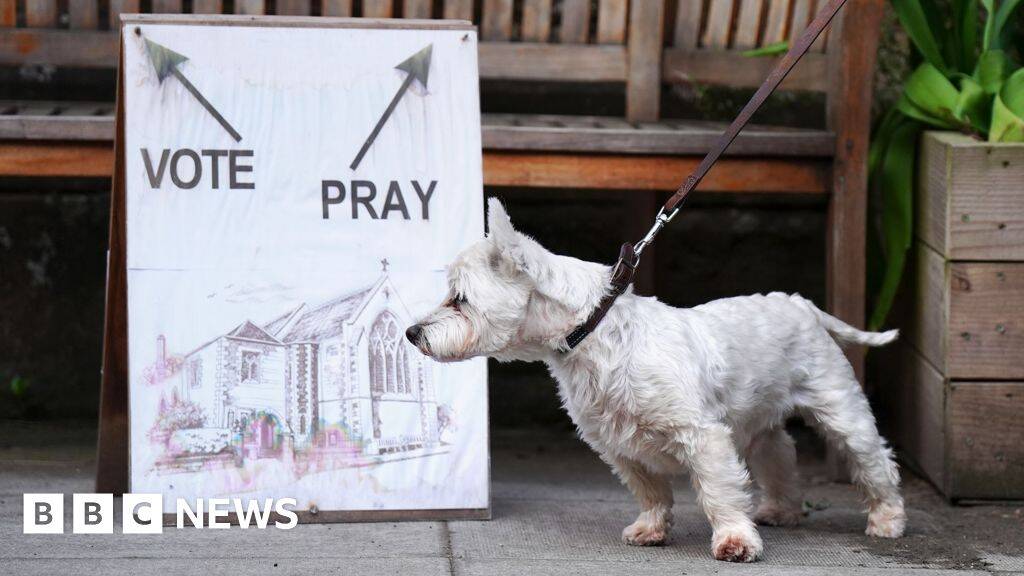 Curious canines and patient pups - it's dogs at polling stations
