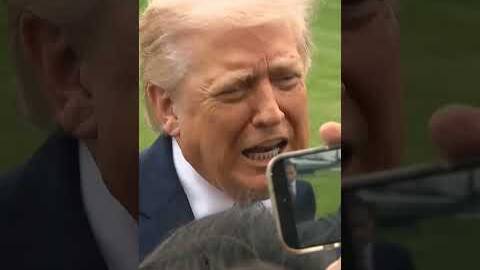 Donald Trump: UK 'should have acted a lot faster'