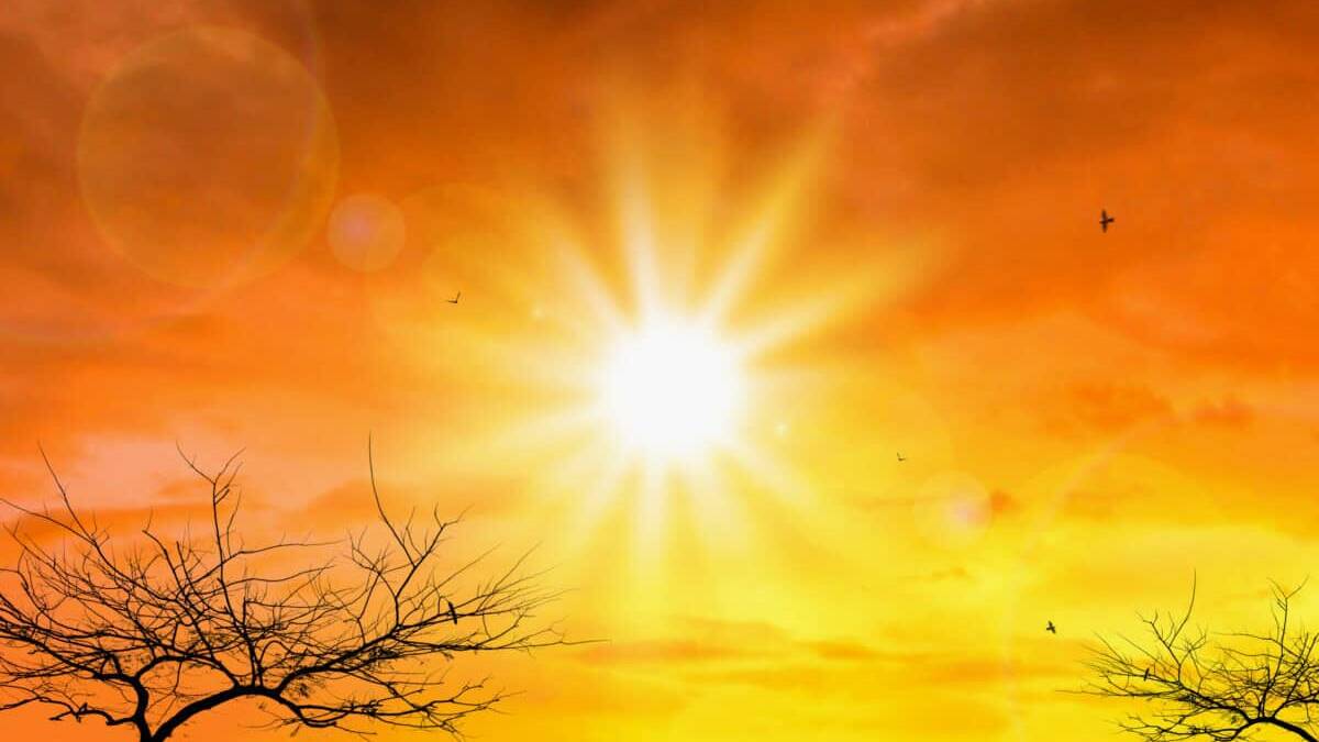 Germany reports record 14 000 heat-related deaths this summer