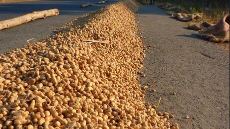 Nigeria&rsquo;s &lsquo;Mothers of Chibok&rsquo; go from farm to factory