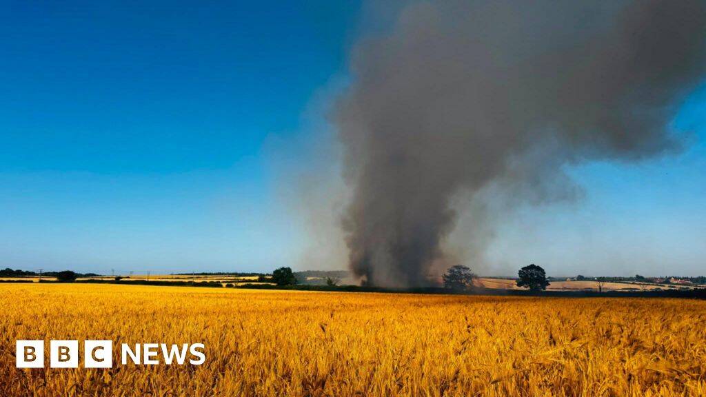 Wildfires burn across UK as fire chiefs warn of extreme pressure