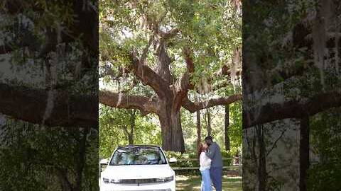 Site seeing in Savannah, Georgia in the most comfortable ride!&nbsp;#IONIQ5 @h@hyundai#HyundaiPartner