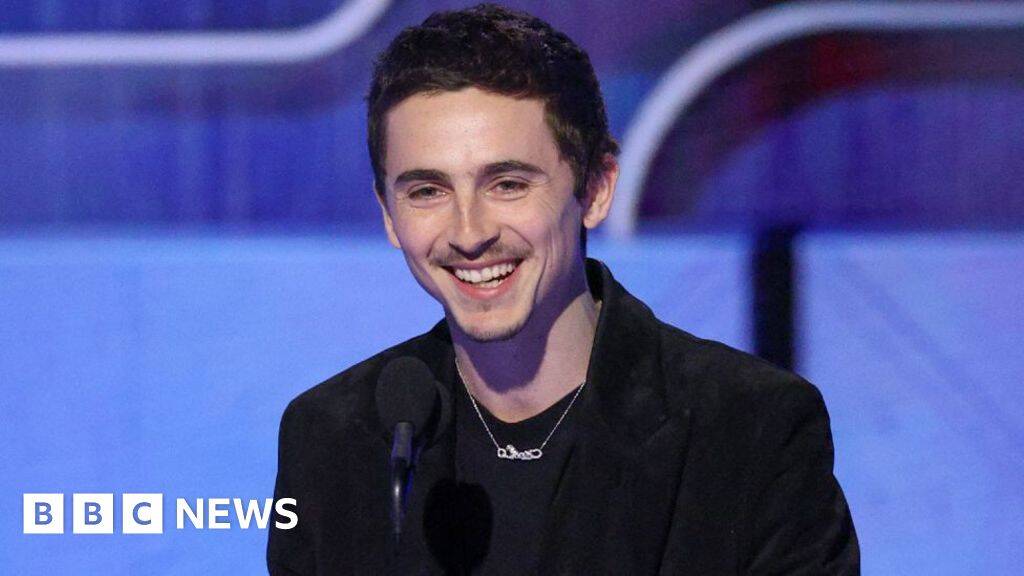 Chalamet beats DiCaprio to Golden Globes glory