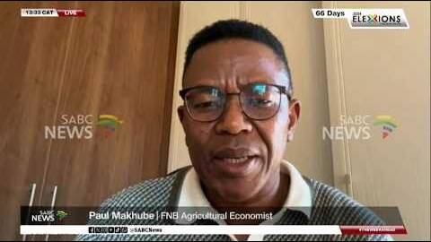 Fuel cost concerns: FNB Economist Paul Makhube breaks down the impact