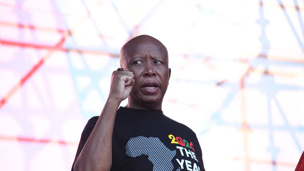 Julius Malema criticises March and March over anti-immigration campaign