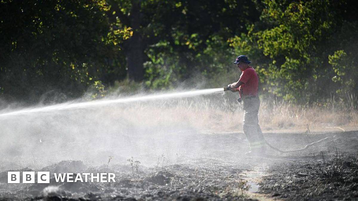 Warning of record global temperatures as chance of very strong El Ni&ntilde;o grows