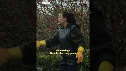 All good alchemic rituals need a dressing gown - BBC