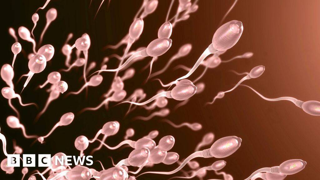 Sperm swim more quickly in summer, study finds