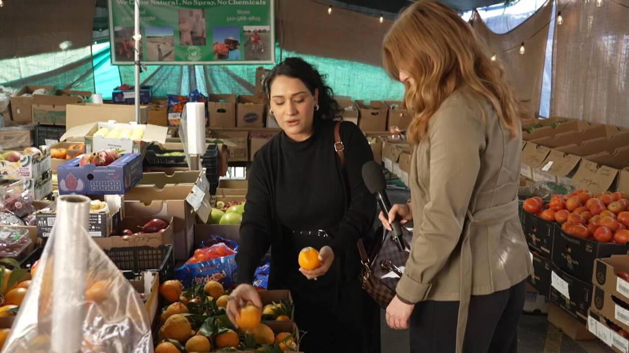 In 'Little Kabul', Afghans feel they have to prove their US loyalty all over again