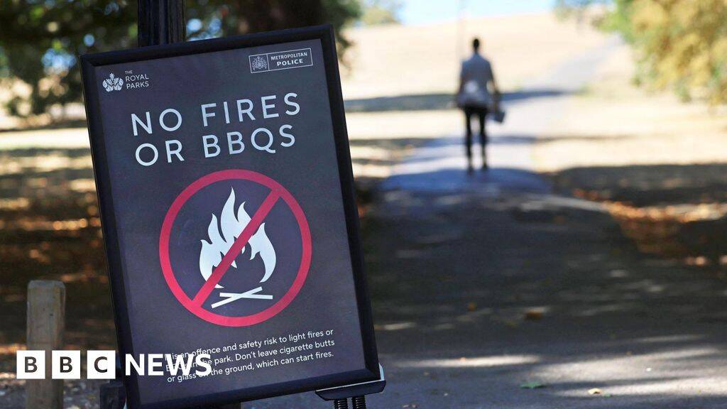 Temporary ban on sale of disposable BBQs over wildfire risk