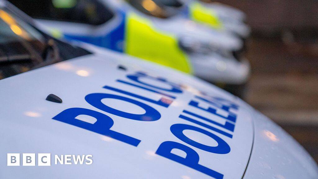 Boy, 16, and 80-year-old man die in light aircraft crash near Loch Lomond