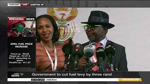 Government to cut fuel levy by R3