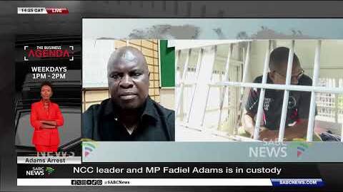 Impact of Fadiel Adams' arrest on political career: Dr Levy Ndou