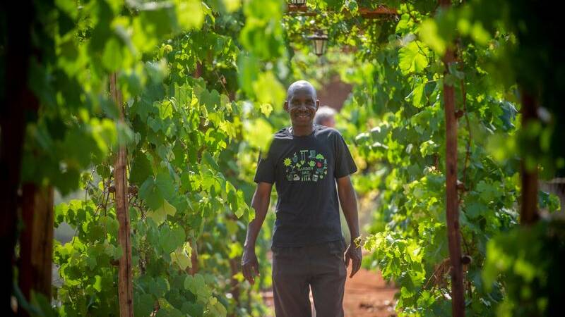 How local parks and community gardens can help cities adapt to climate change