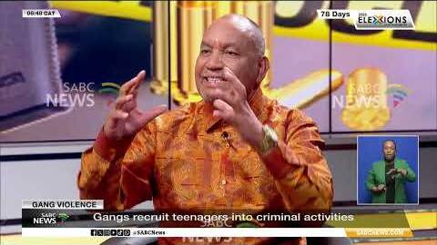 Police committee begins gang violence inquiry
