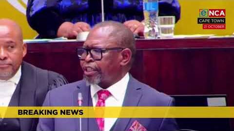 Finance Minister Godongwana announces fuel levy reduction
