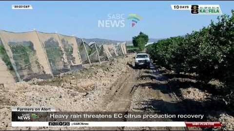 Heavy rains threaten E Cape citrus farmers' production recovery