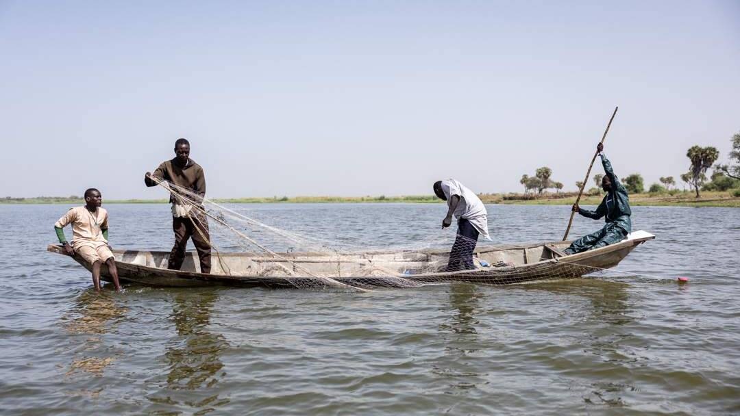 ANALYSIS | ISWAP&rsquo;s next frontier: Darak in northern Cameroon