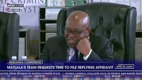 Vusimuzi 'Cat' Matlala's team requests time to file replying affidavit