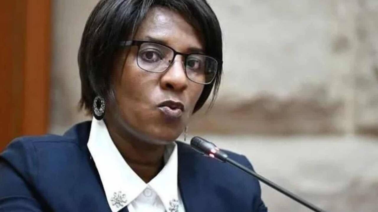 Ramaphosa chooses Dinkie Portia Dube as Deputy Public Protector: 4 things you need to know about her appointment