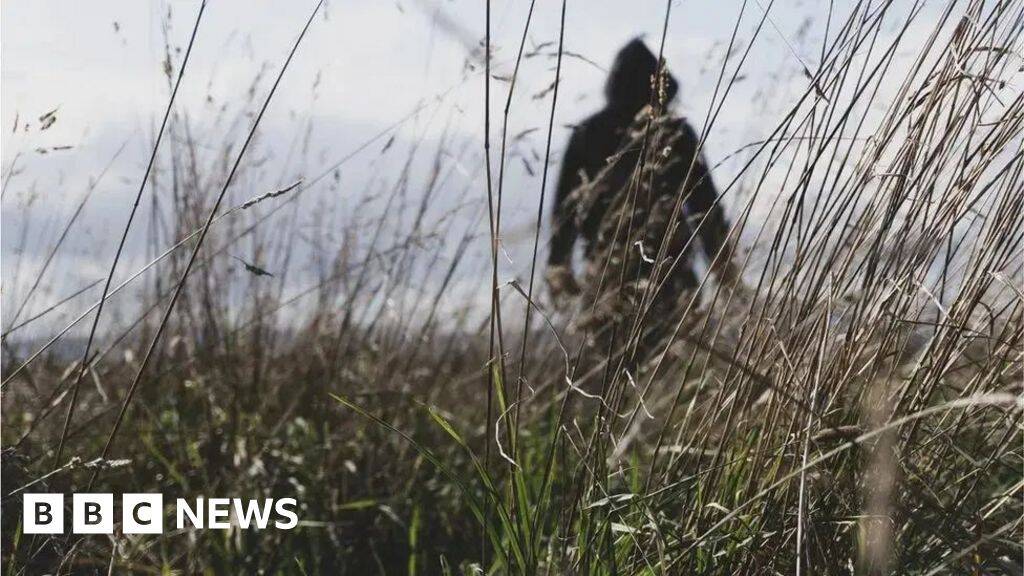 'Gang in balaclavas targeted our combine harvester': Farmers welcome rural crime crackdown