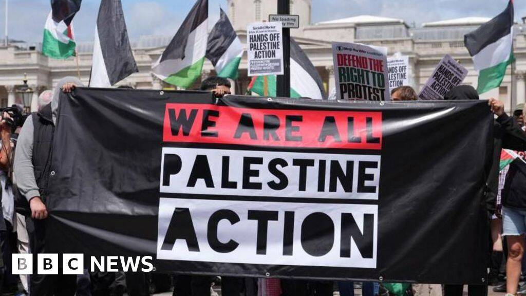 Palestine Action ban is lawful, Court of Appeal rules