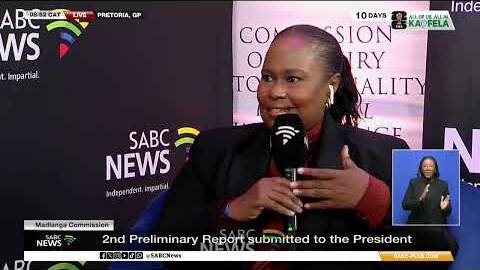 Madlanga Commission | Final report will be public: Michaels