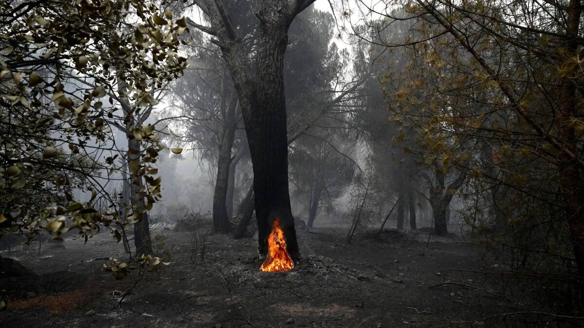 Spain races to contain blazes before temperatures rise