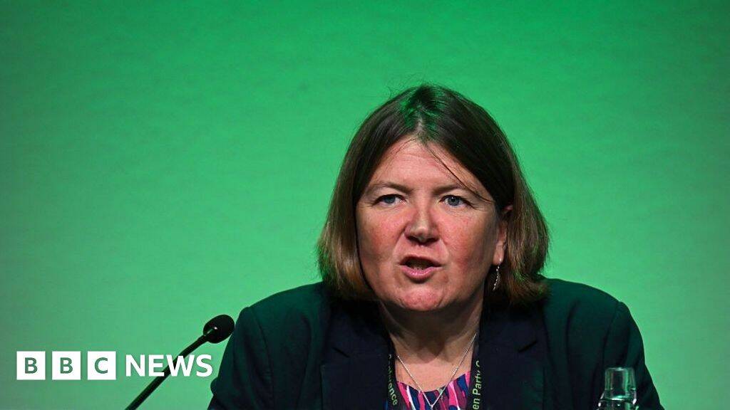 Green Party wants to make sure it is 'not vulnerable to extremists'