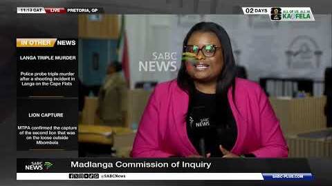 Madlanga Commission | Drug bust evidence under scrutiny today
