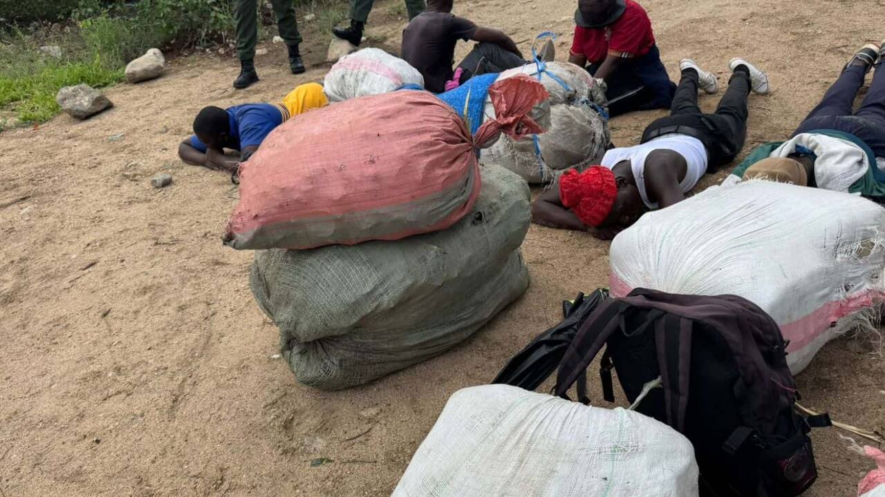 JUST IN: BMA arrests more undocumented foreign nationals entering SA illegally