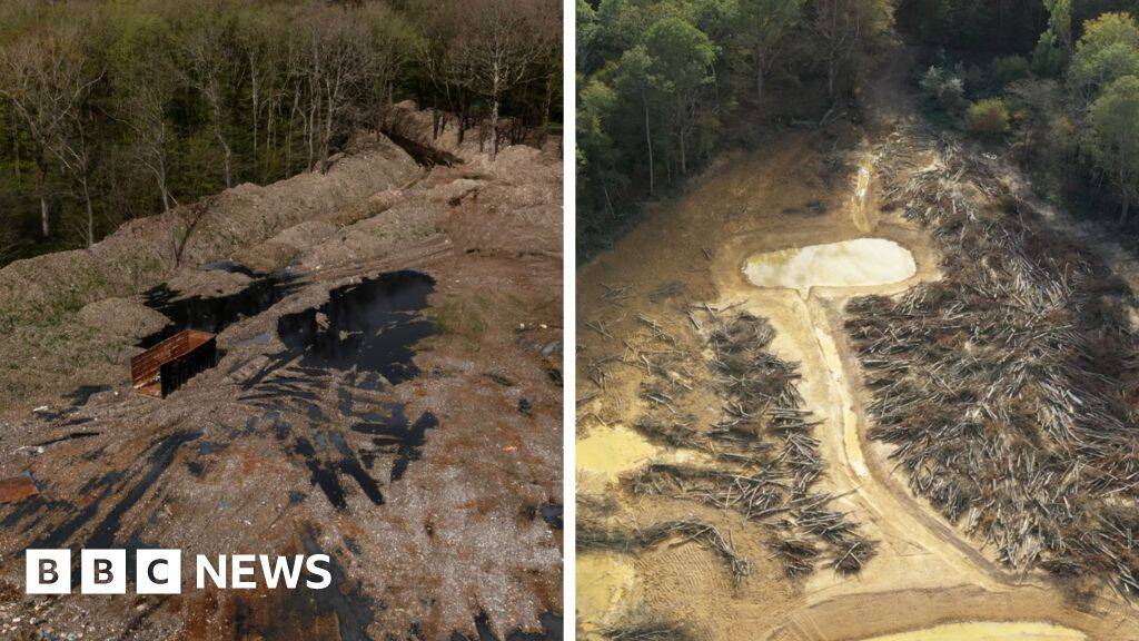 &pound;15m spent cleaning illegal waste supersite in ancient woodland